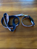 Dog Collar & Lead (Pack)