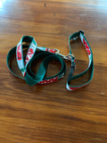 Dog Collar & Lead (Pack)