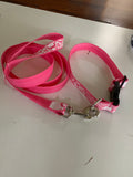 Dog Collar & Lead (Pack)