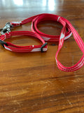 Dog Collar & Lead (Pack)