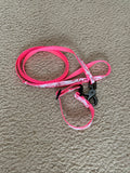 Dog Collar & Lead (Pack)